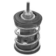 Thermostat d'eau BORG & BECK BBT488 - Visuel 2