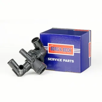 Thermostat d'eau BORG & BECK BBT506
