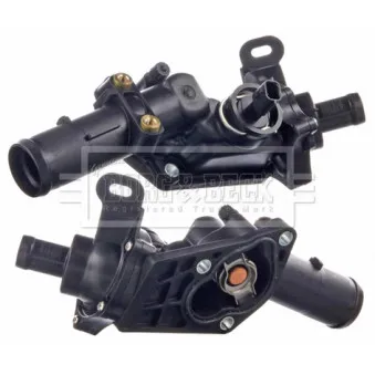 Thermostat d'eau BORG & BECK BBT508