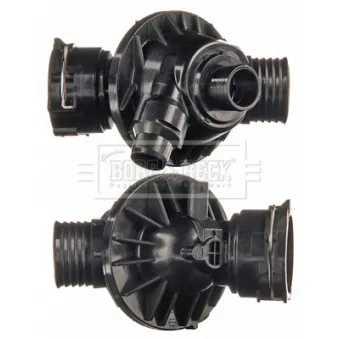 Thermostat d'eau BORG & BECK BBT510