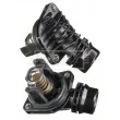 Thermostat d'eau BORG & BECK BBT521 - Visuel 2