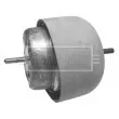 Support moteur BORG & BECK BEM3171 - Visuel 1