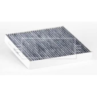 Filtre, air de l'habitacle BORG & BECK BFC1335