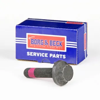 Écrou, bout d'essieu BORG & BECK BHN221