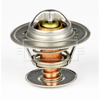 Thermostat d'eau BORG & BECK BTS193.80