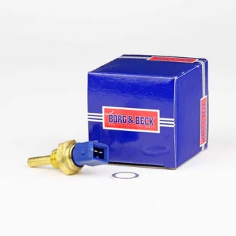 Sonde de température, liquide de refroidissement BORG & BECK BTS3017