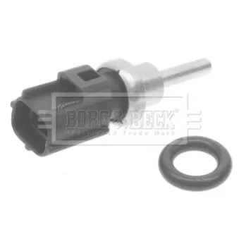 Sonde de température, liquide de refroidissement BORG & BECK BTS3032