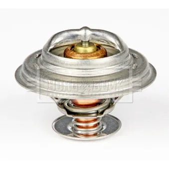 Thermostat d'eau BORG & BECK BTS385.80