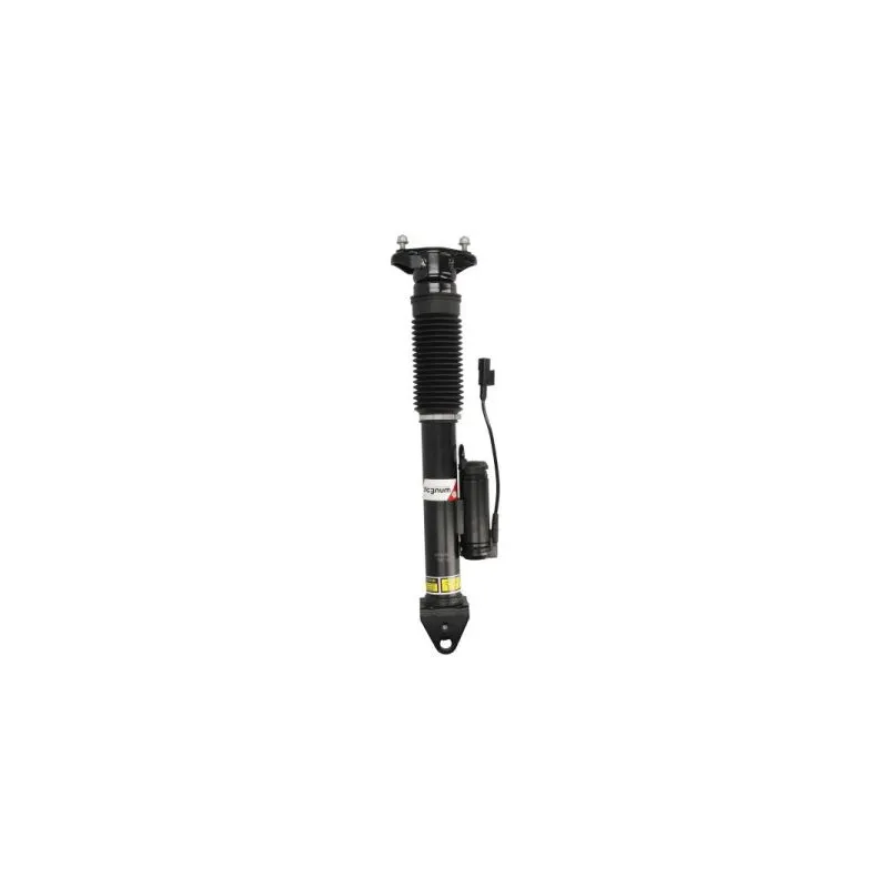 jeu de 2 amortisseurs arrière MAGNUM TECHNOLOGY APM006MT