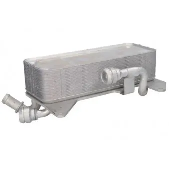 Radiateur d'huile de boîte automatique THERMOTEC D4A023TT