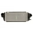 Intercooler, échangeur THERMOTEC DA05006TT - Visuel 1