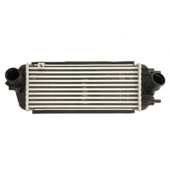 Intercooler, échangeur THERMOTEC DA05006TT