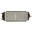 Intercooler, échangeur THERMOTEC DA05006TT - Visuel 2
