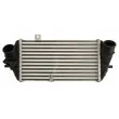 Intercooler, échangeur THERMOTEC DA05007TT - Visuel 1