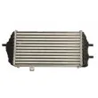 Intercooler, échangeur THERMOTEC DA05007TT - Visuel 2