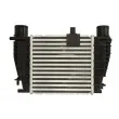 Intercooler, échangeur THERMOTEC DA1008TT - Visuel 1