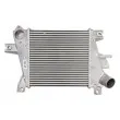 Intercooler, échangeur THERMOTEC DA1011TT - Visuel 1