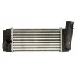 Intercooler, échangeur THERMOTEC DA2007TT - Visuel 1