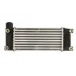 Intercooler, échangeur THERMOTEC DA2007TT - Visuel 2