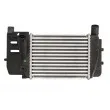 Intercooler, échangeur THERMOTEC DA2008TT - Visuel 1