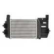 Intercooler, échangeur THERMOTEC DA2008TT - Visuel 2