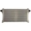 Intercooler, échangeur THERMOTEC DA2012TT - Visuel 1