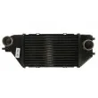 Intercooler, échangeur THERMOTEC DA4002TT - Visuel 1