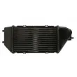 Intercooler, échangeur THERMOTEC DA4002TT - Visuel 2