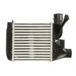 Intercooler, échangeur THERMOTEC DAB021TT - Visuel 2