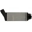 Intercooler, échangeur THERMOTEC DAC016TT - Visuel 1