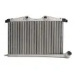 Intercooler, échangeur THERMOTEC DAC021TT - Visuel 1