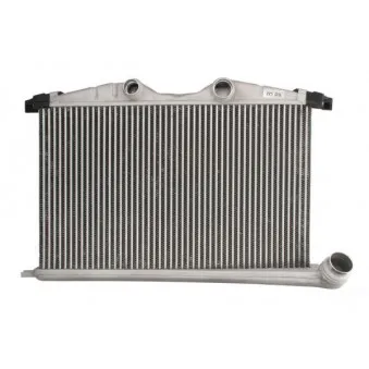 Intercooler, échangeur THERMOTEC DAC021TT