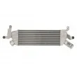 Intercooler, échangeur THERMOTEC DAC022TT - Visuel 1