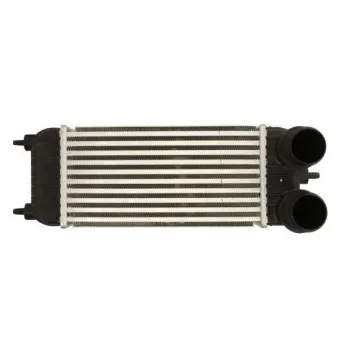 Intercooler, échangeur THERMOTEC DAC023TT