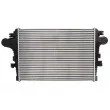 Intercooler, échangeur THERMOTEC DAD004TT - Visuel 2