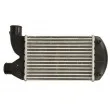 Intercooler, échangeur THERMOTEC DAF006TT - Visuel 1