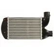 Intercooler, échangeur THERMOTEC DAF006TT - Visuel 2