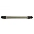 Intercooler, échangeur THERMOTEC DAG028TT - Visuel 1