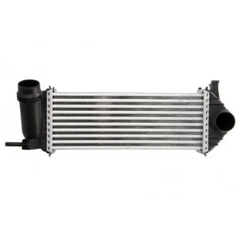 Intercooler, échangeur THERMOTEC DAM019TT