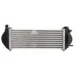 Intercooler, échangeur THERMOTEC DAM019TT - Visuel 2
