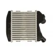 Intercooler, échangeur THERMOTEC DAM031TT - Visuel 2