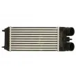 Intercooler, échangeur THERMOTEC DAP007TT - Visuel 1