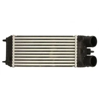 Intercooler, échangeur THERMOTEC DAP007TT