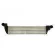 Intercooler, échangeur THERMOTEC DAR024TT - Visuel 1