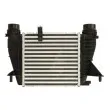 Intercooler, échangeur THERMOTEC DAR027TT - Visuel 1