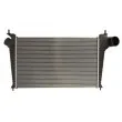 Intercooler, échangeur THERMOTEC DAU001TT - Visuel 1