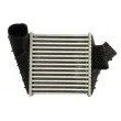 Intercooler, échangeur THERMOTEC DAW015TT - Visuel 1