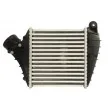 Intercooler, échangeur THERMOTEC DAW015TT - Visuel 2