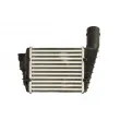 Intercooler, échangeur THERMOTEC DAW018TT - Visuel 2