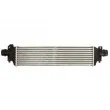 Intercooler, échangeur THERMOTEC DAX021TT - Visuel 1